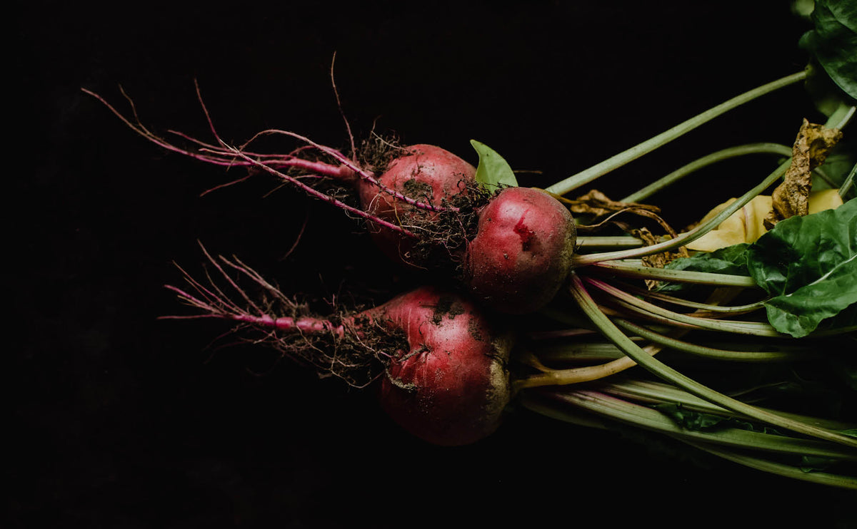 The Unbeetable Beet: An Antioxidant Gold Mine